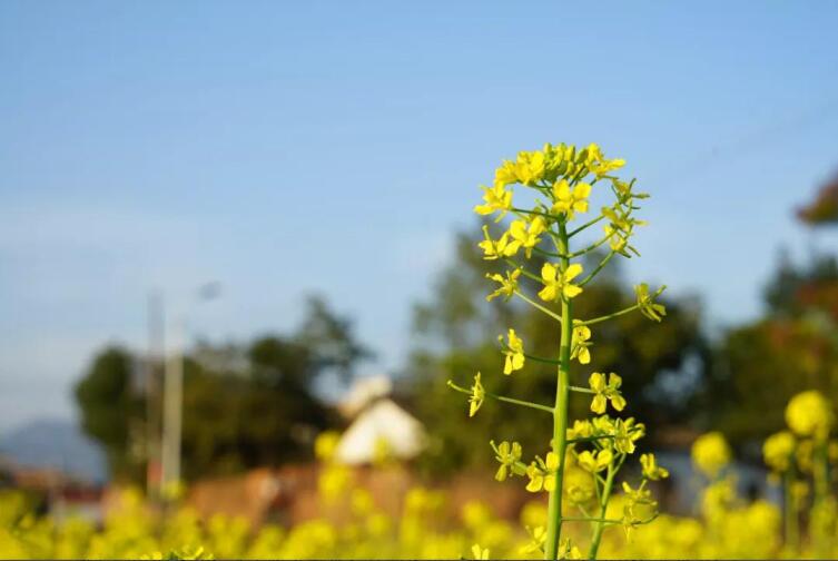 春季該如何預(yù)防控制高血壓？