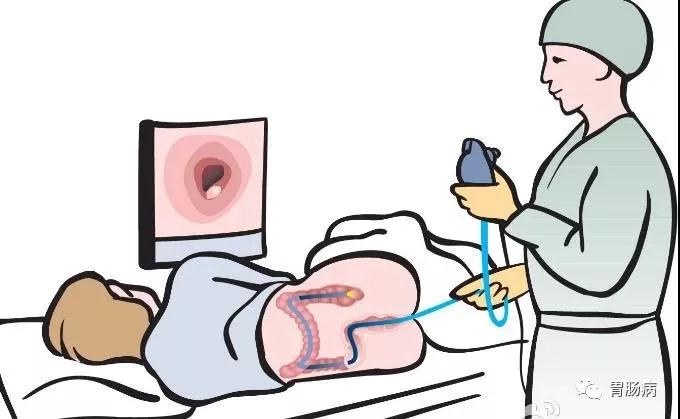 “胃”你好嗎？“腸”來看看！