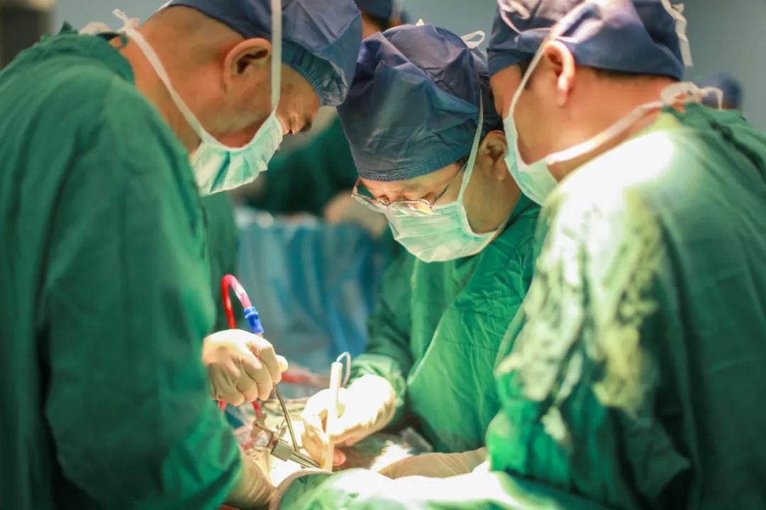 世界首例！我院骨科完成高難度、高科技3D打印可動(dòng)人工頸椎-椎間盤復(fù)合體植入術(shù)