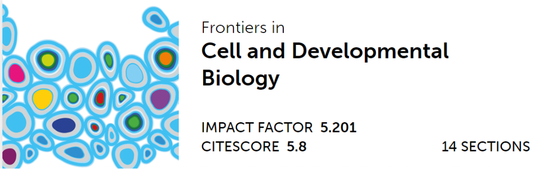 心臟病醫(yī)院王海昌院長科研團(tuán)隊在心肌病研究領(lǐng)域有新突破！