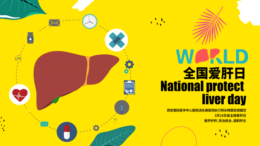 今天，你讓肝臟加班了嗎？