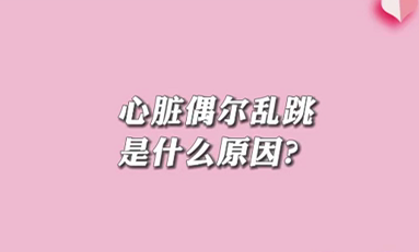 【名醫(yī)面對面之心臟100問】心臟偶爾亂跳是什么原因？