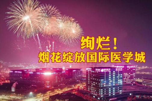 絢爛！煙花綻放國際醫(yī)學城